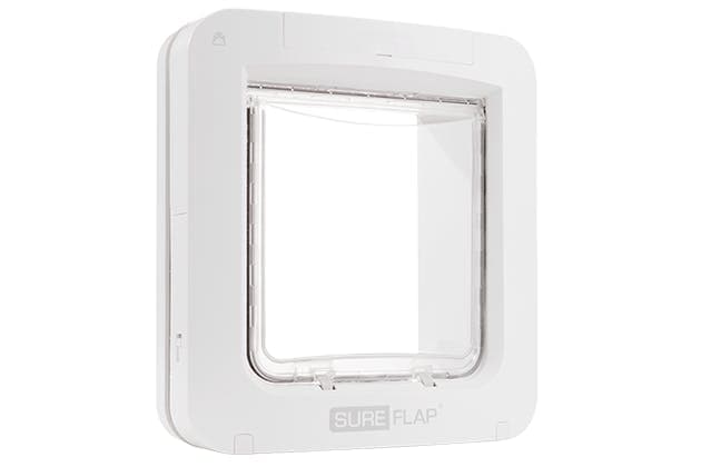 Top tips on how to protect your cat flap