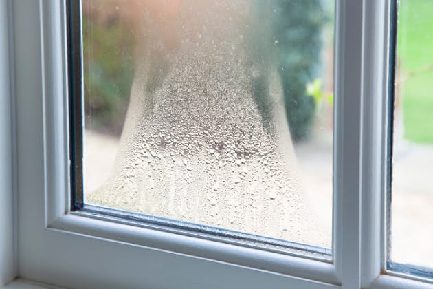 Window Seal Failure Signs: Draughts, Fogging and Leaks