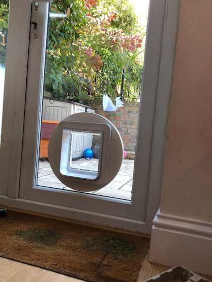 cat flap fitting Nottingham